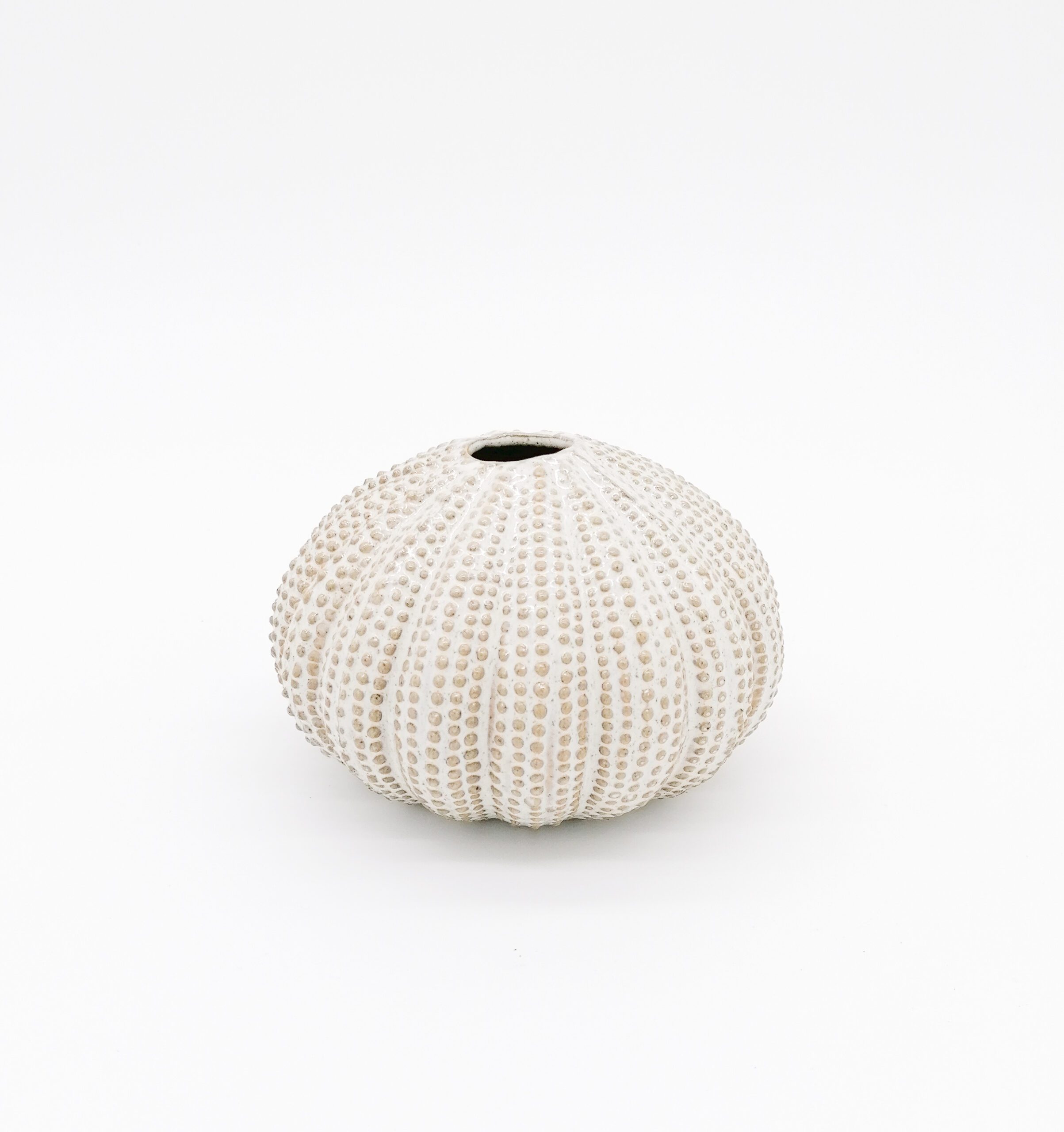 Vase Sea Urchin